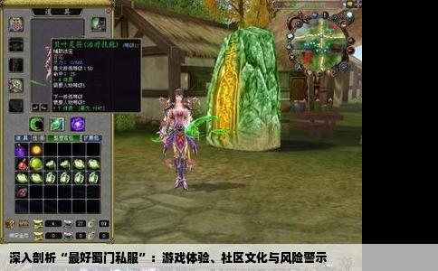 深入剖析“最好蜀门私服”：游戏体验、社区文化与风险警示