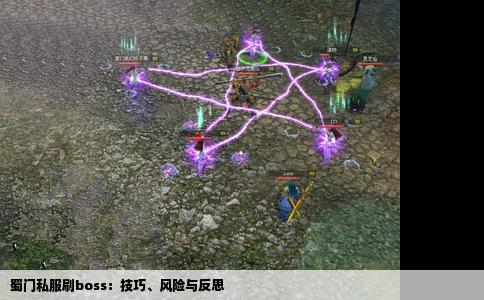 蜀门私服刷boss：技巧、风险与反思