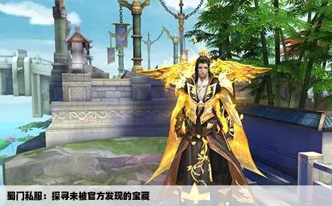 蜀门私服：探寻未被官方发现的宝藏