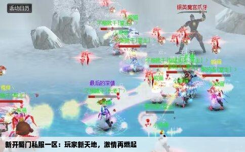 新开蜀门私服一区：玩家新天地，激情再燃起