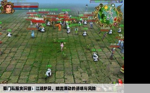 蜀门私服贪玩猫：江湖梦回，暗流涌动的诱惑与风险