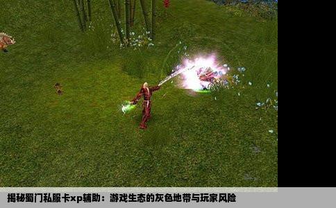 揭秘蜀门私服卡xp辅助：游戏生态的灰色地带与玩家风险