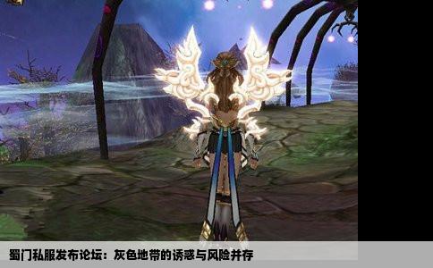 蜀门私服发布论坛：灰色地带的诱惑与风险并存