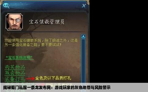 揭秘蜀门私服一条龙发布网：游戏玩家的灰色地带与风险警示