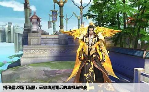 揭秘最火蜀门私服：玩家热潮背后的真相与挑战