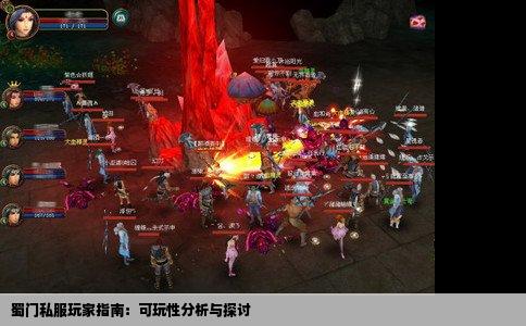 蜀门私服玩家指南：可玩性分析与探讨