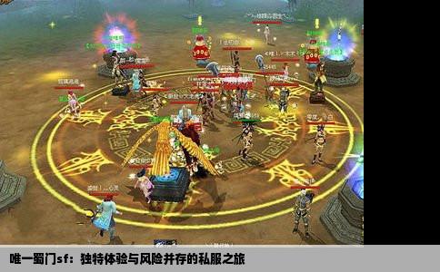 唯一蜀门sf：独特体验与风险并存的私服之旅