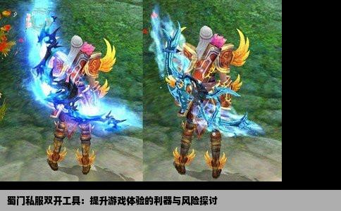 蜀门私服双开工具：提升游戏体验的利器与风险探讨